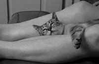131 - AFTERNOON NAP - MARIJANCIC BOZO - croatia <div